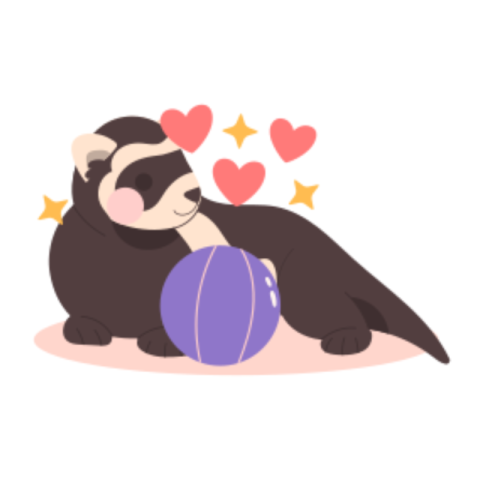 Ferret sticker