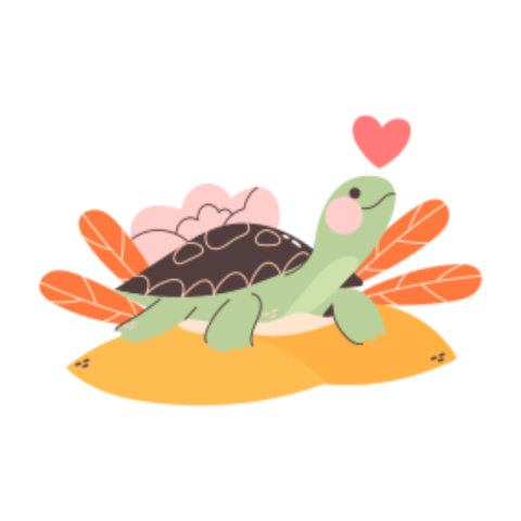Turtle sticker