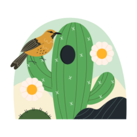 Cactus sticker